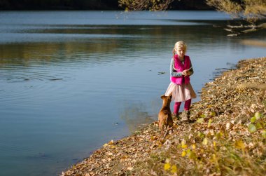 Manzaralı portakal ormanlarında