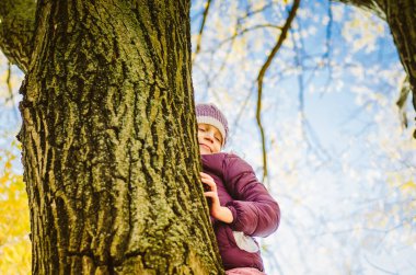 Kuş bakışı bakıyorum.