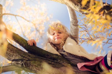 kuş bakış açısından