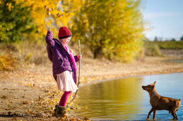 Kind training hond in het water — Stockfoto