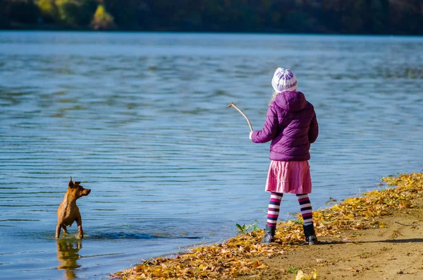 Bambino cane da addestramento in acqua — Foto Stock