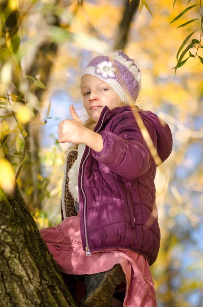 Climbing to the tree top — Stock Photo, Image