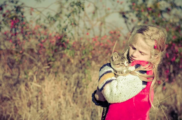 Niño sosteniendo lindo gato mascota en el campo en campo — Foto de Stock