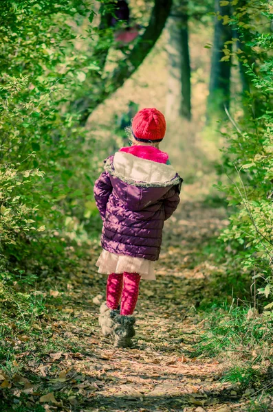 In schilderachtig groen bos — Stockfoto