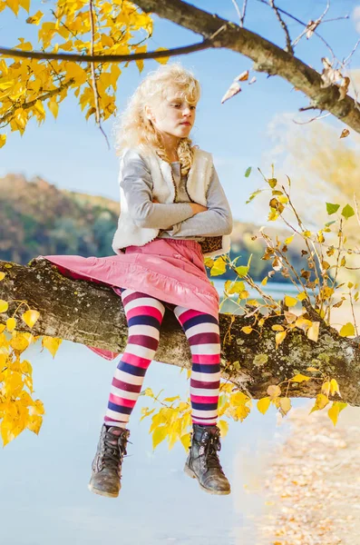 Im Ast sitzen und meditieren — Stockfoto