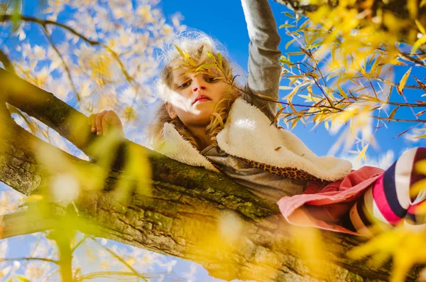 Hoog in de bomen — Stockfoto