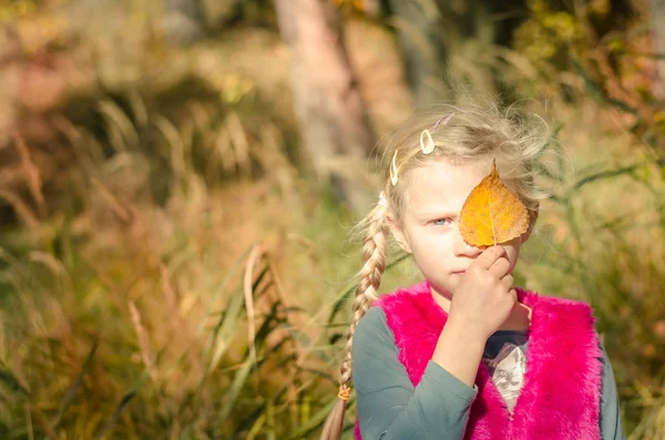 Adorável menina loira no outono natureza — Fotografia de Stock
