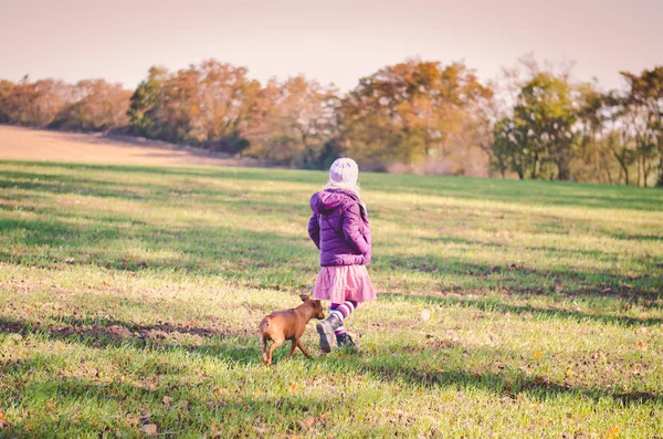 Criança treinamento cão amplo campo — Fotografia de Stock