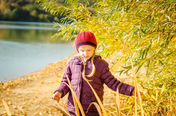 Mooi meisje wandelen langs vijver in de herfst gouden uur tijd — Stockfoto