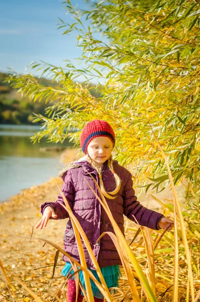 Schönes Mädchen, das in herbstlicher goldener Stunde am Teich entlanggeht — Stockfoto