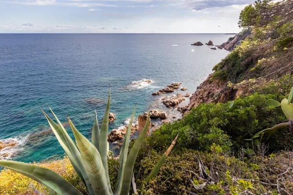 España, Cataluña, Blanes, septiembre de 2016 — Foto de Stock