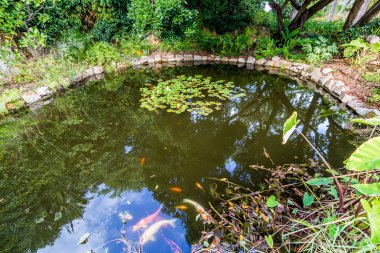 İspanya, Katalonya, Blanes, Eylül 2016