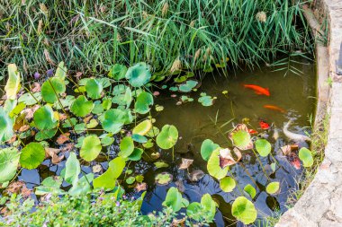 İspanya, Katalonya, Blanes, Eylül 2016