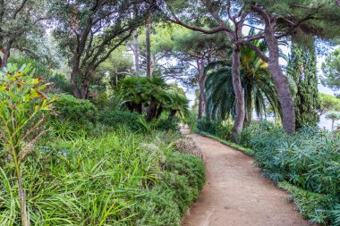 İspanya, Katalonya, Blanes, Eylül 2016