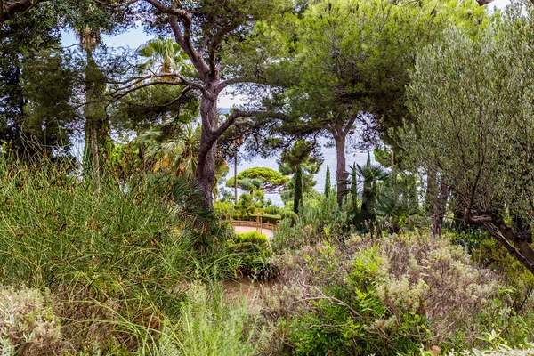 İspanya, Katalonya, Blanes, Eylül 2016