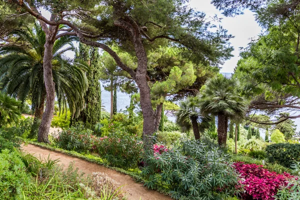 Spain, Catalonia, Blanes, September 2016 — Stock Photo, Image