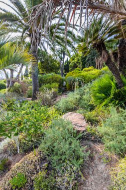 İspanya, Katalonya, Blanes, Eylül 2016