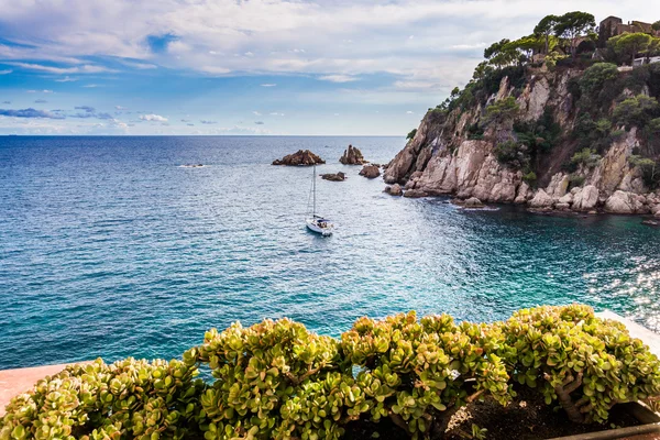 İspanya, Katalonya, Blanes, Eylül 2016 — Stok fotoğraf