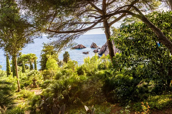 España, Cataluña, Blanes, septiembre de 2016 — Foto de Stock