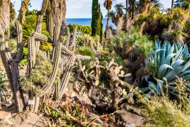 İspanya, Katalonya, Blanes, Eylül 2016