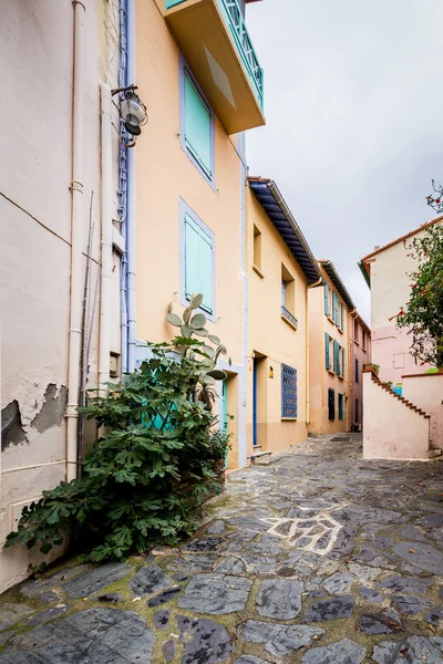 Frankrike, söder, Collioure, September 2016 — Stockfoto