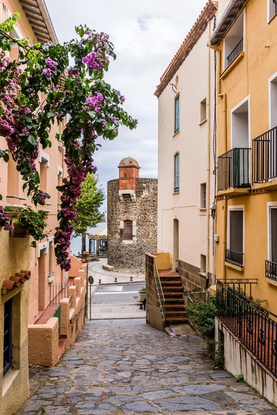 Francia, Sur, Collioure, septiembre de 2016 — Foto de stock gratis