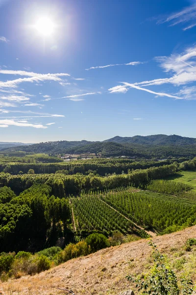 Spanje, autonome gemeenschap Catalonië, provincie Girona, Hostalric, September 2016 — Stockfoto