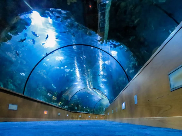 Spain,  Valensia, november 2016