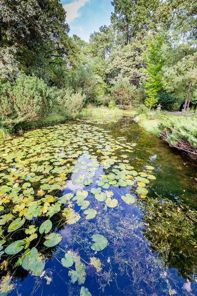 Rusko, Moskva, Botanická zahrada, tradiční japonská zahrada, září 2017 — Stock fotografie