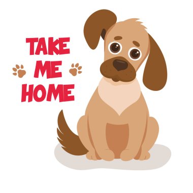 Küçük şirin köpek yavrusu eve götürülmek istiyor. Barınaktan köpeği al.