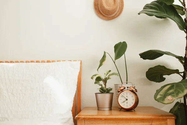 Nyaman kamar tidur modern dengan tanaman rumah — Stok Foto