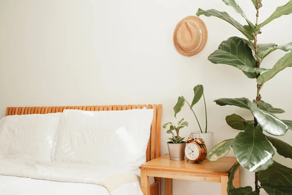 Nyaman kamar tidur modern dengan tanaman rumah — Stok Foto