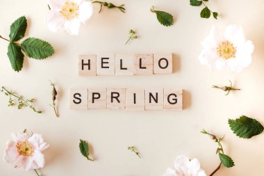 Pembe ve beyaz güller, yeşil yapraklar ve bej renksiz arka planda fotokopi alanı. Yaz ve bahar arkaplanı. Merhaba bahar kartı..