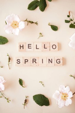 Pembe ve beyaz güller, yeşil yapraklar ve bej renksiz arka planda fotokopi alanı. Yaz ve bahar arkaplanı. Merhaba bahar kartı..