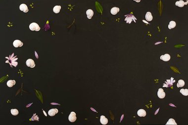 Siyah arkaplanda beyaz salyangoz yaprakları ve çerçeve ve kopyalama alanı ile arkaplan