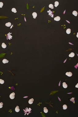 Siyah arkaplanda beyaz salyangoz yaprakları ve çerçeve ve kopyalama alanı ile arkaplan