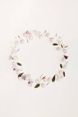 Beyaz arka planda beyaz salyangozlar ve yapraklar. Doğal yaz ve bahar çelengi