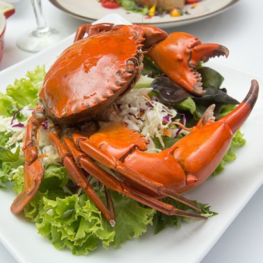 Taze pişmiş Yengeç