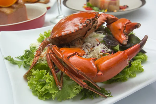 Fresh Steamed Crab — Stock Photo, Image