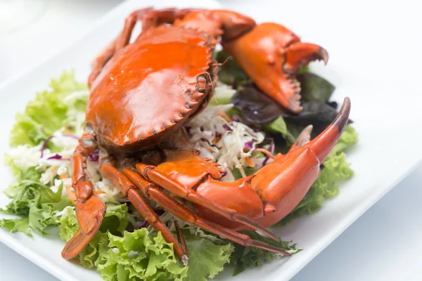 Steamed Crab on plate Stock Picture