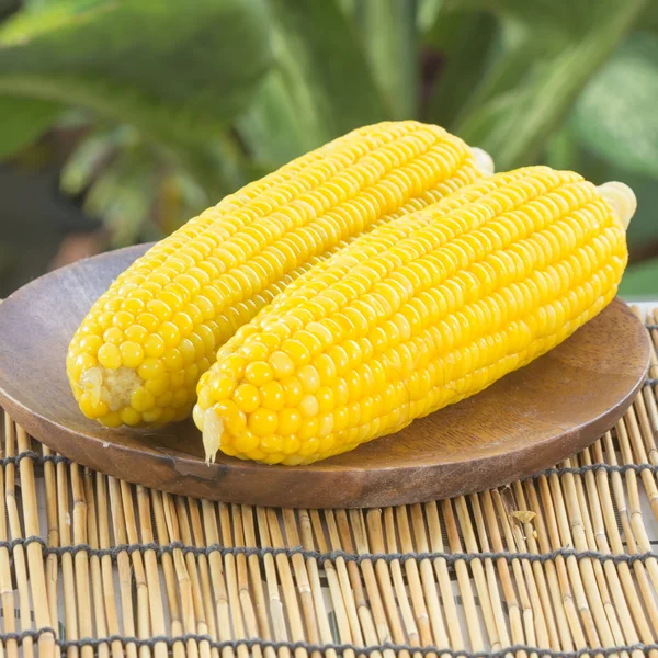 Boiled sweet corn — Stock Photo, Image