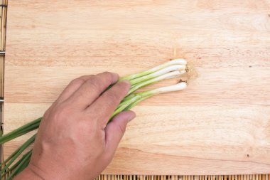 el ile demet yeşil soğan