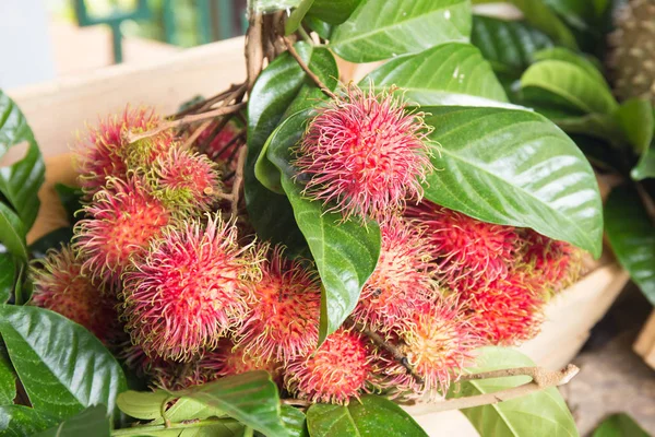 Salacca Thai fruit — Stock Photo, Image