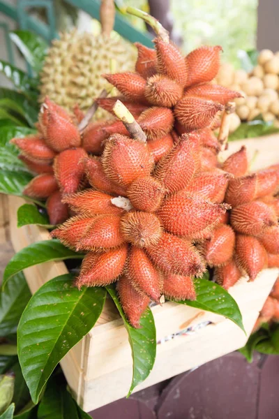 Salacca /Thai fruit — Stock Photo, Image