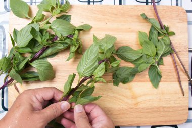 Şef paçavra Tay fesleğen el ile