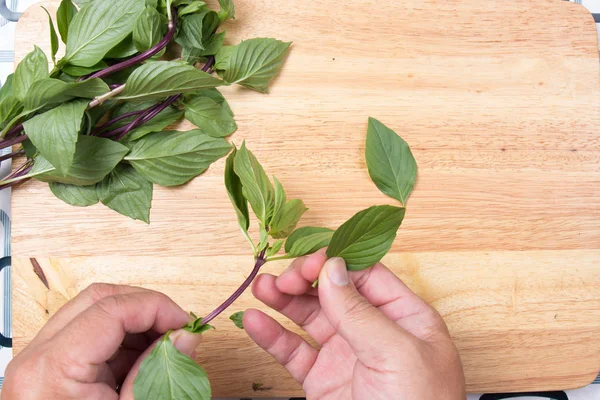 Şef paçavra Tay fesleğen el ile