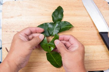 Şef el ile Güney Afrika'da bir kabile kireç yaprakları parçalayıp.