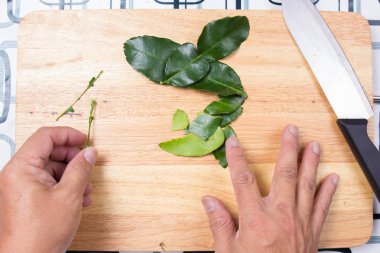 Şef el ile Güney Afrika'da bir kabile kireç yaprakları parçalayıp.