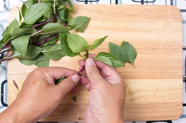 Şef paçavra Tay fesleğen el ile