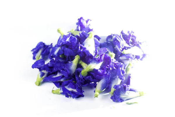 Butterfly pea flower — Stock Photo, Image